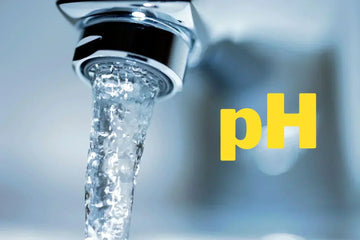pH de l'eau du robinet