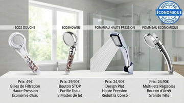 quel est le meilleur pommeau de douche économique